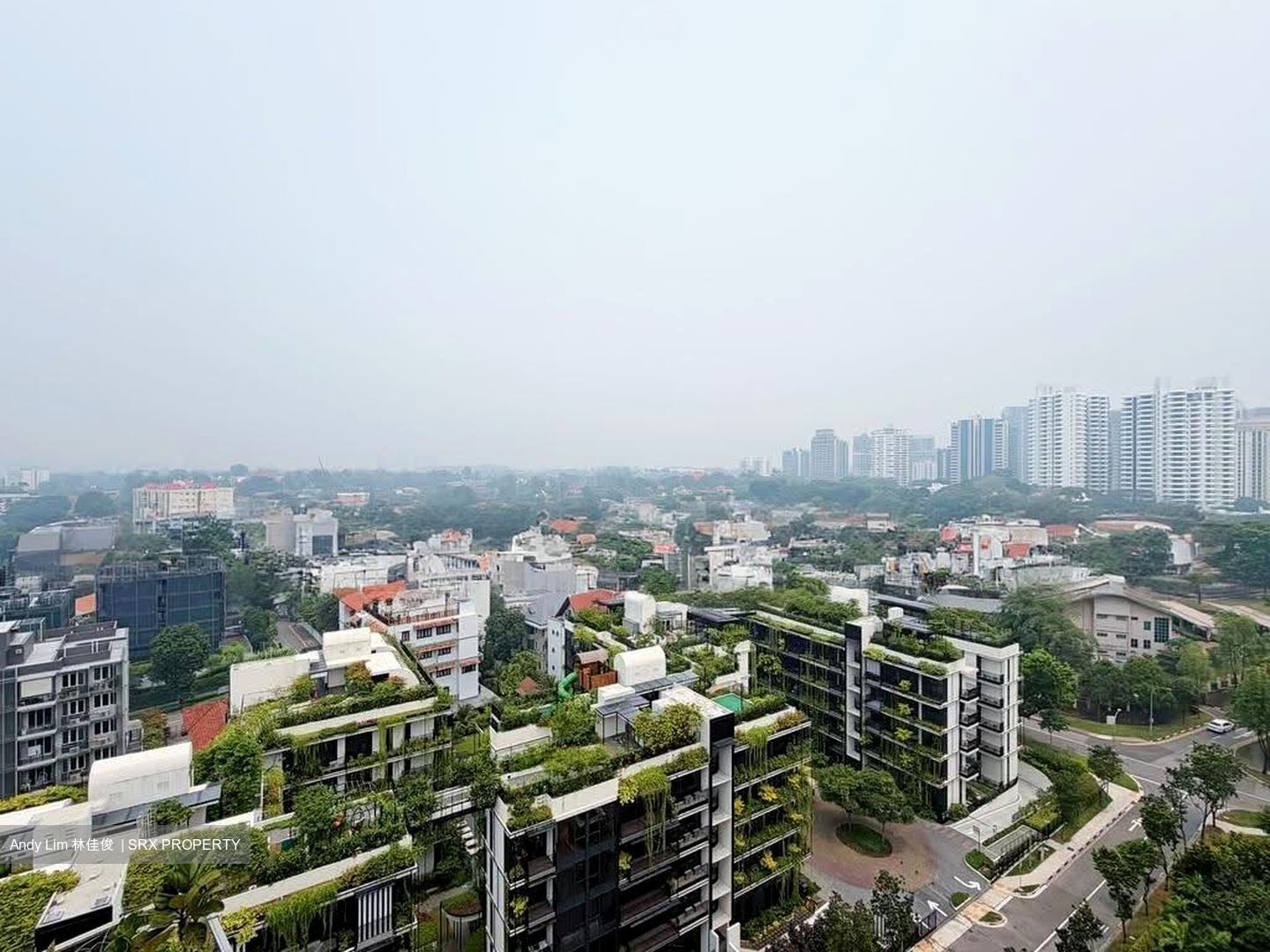 One Jervois (D10), Condominium #629660391